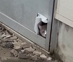 「誰この人～？」