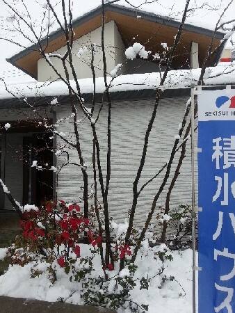 展示場