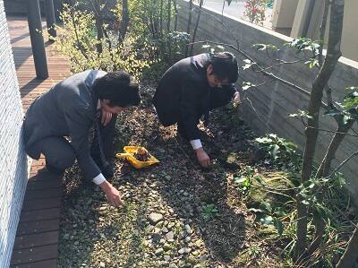 朝、掃除の時間に草むしり