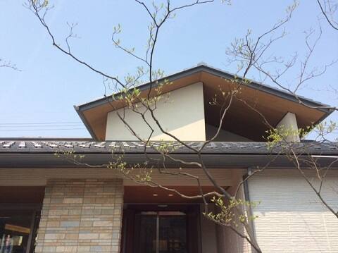 展示場の庭木も、新緑がとても美しいです