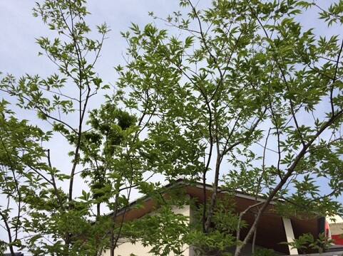 最近の富山展示場の様子