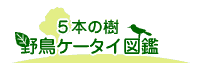 5本の樹 野鳥ケータイ図鑑